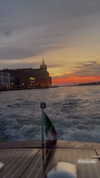 adelaidepalii Altpins Profile Picture