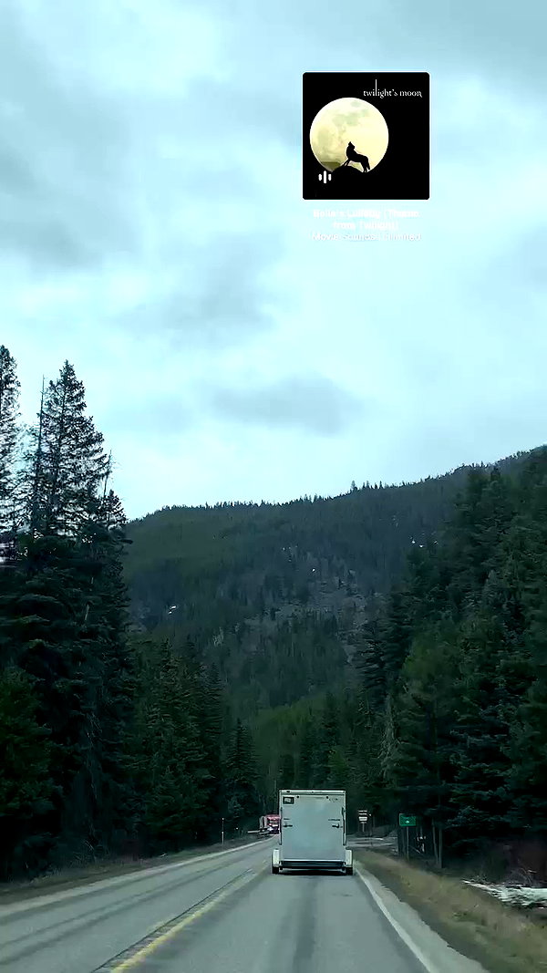 elsgatti archive video preview