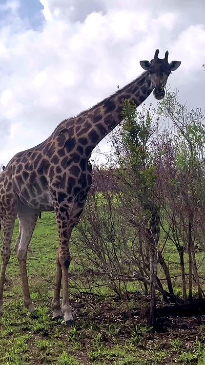 taylor.creeden taylor.creeden archive video