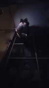 shayli_or Altpins Profile Picture