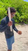 asuslovaaa Altpins Profile Picture