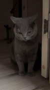 hoodifruit Altpins Profile Picture
