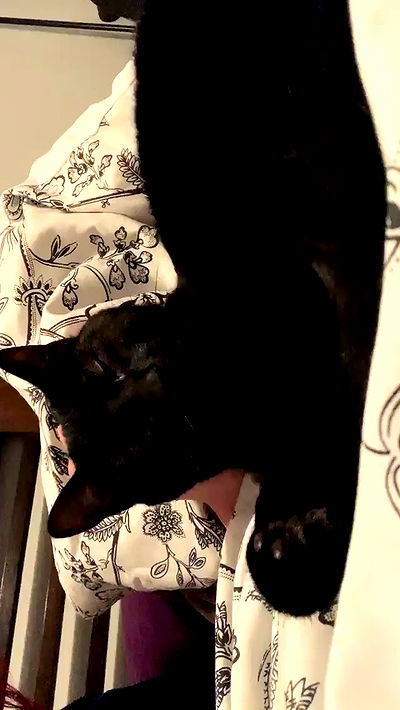 suikomuu suikomuu archive video