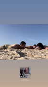 dante_yangpa Altpins Profile Picture