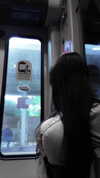 hirari_rurero Altpins Profile Picture