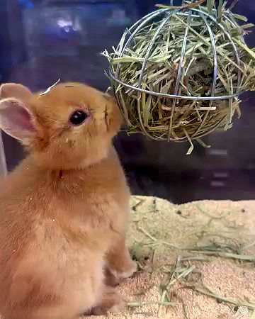 taylor.creeden taylor.creeden archive video