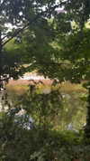 lotembar Altpins Profile Picture