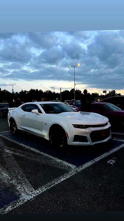 simp_for_cats_ simp_for_cats_ archive video