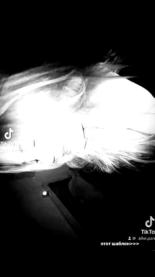 _allvi.pansk archive video preview