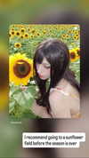 ochya0 Altpins Profile Picture