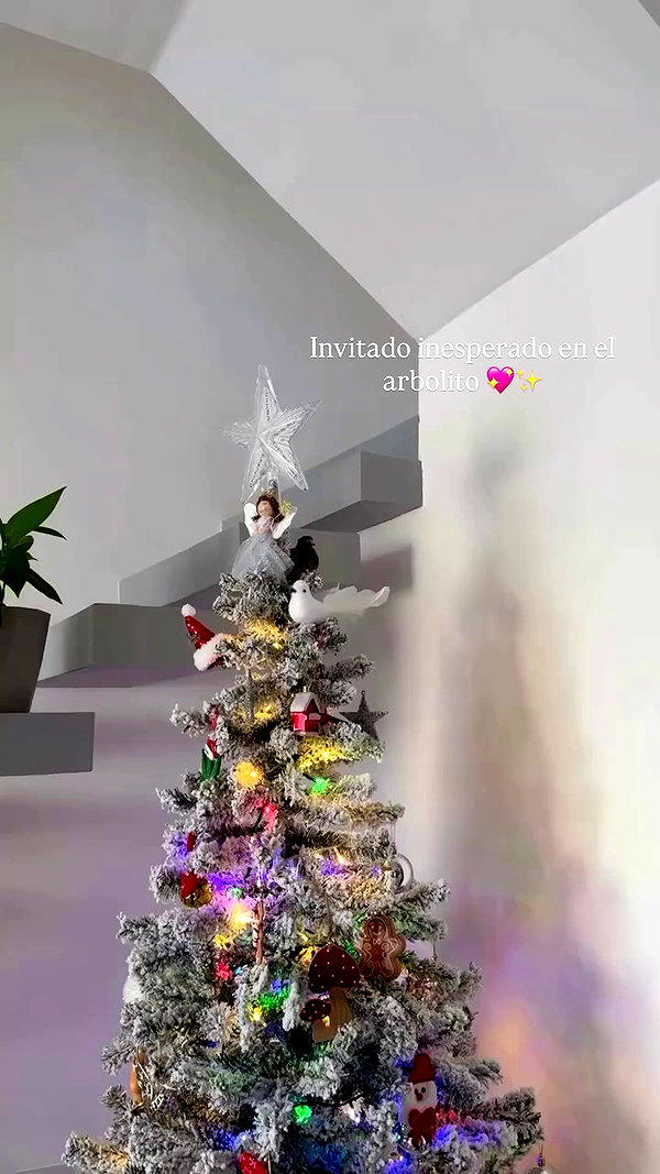 shunli__mei archive video preview