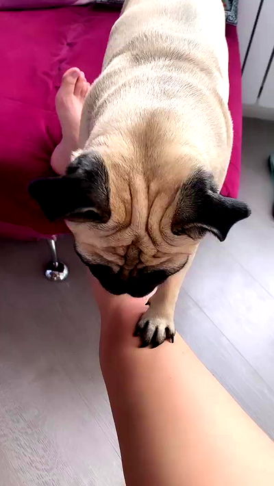 nyityam nyityam archive video