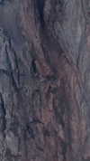 bensalma4 Altpins Profile Picture