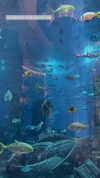 sonia_litvanchuk Altpins Profile Picture