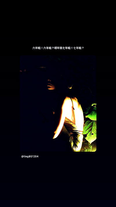 ting851204 ting851204 archive video