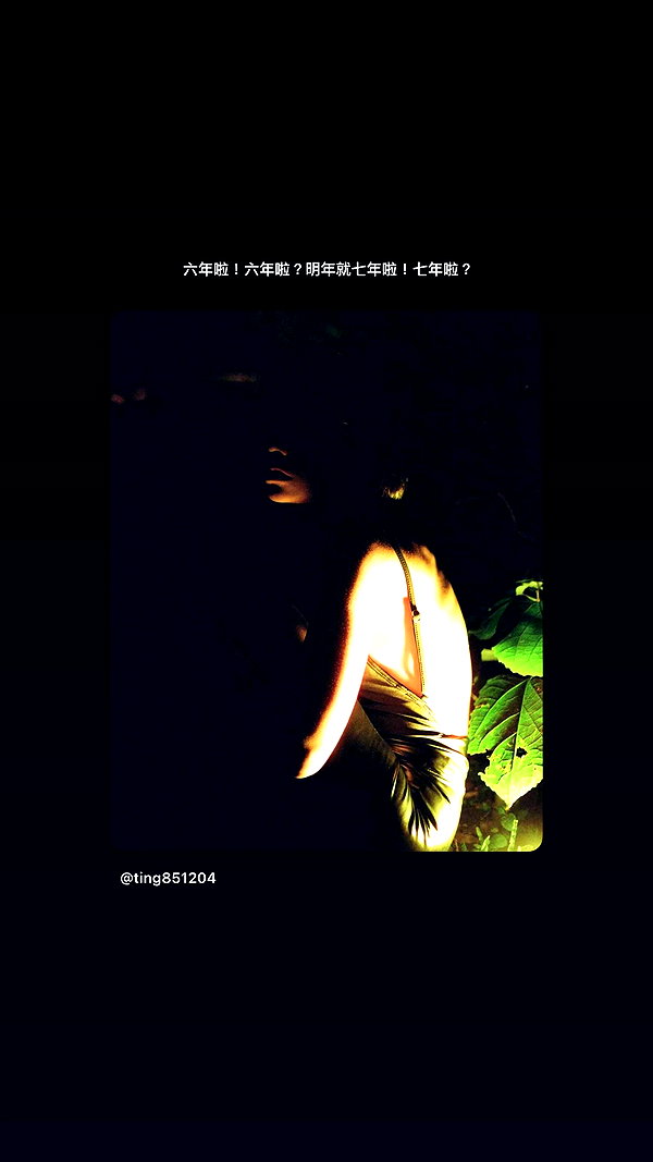 ting851204 archive video preview