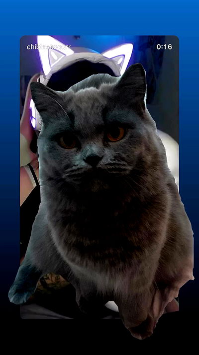 chibinekopurr chibinekopurr archive video