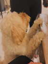 hadas_mayer_ Altpins Profile Picture