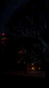 kkwwwv Altpins Profile Picture