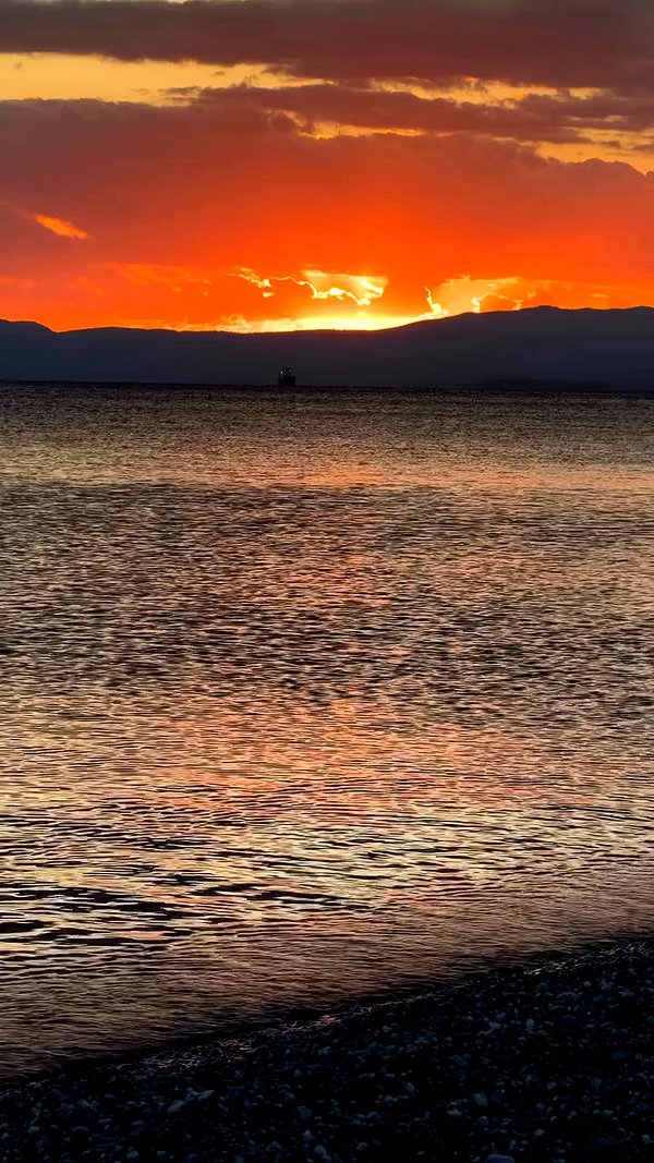 noa_mendel_ archive video preview