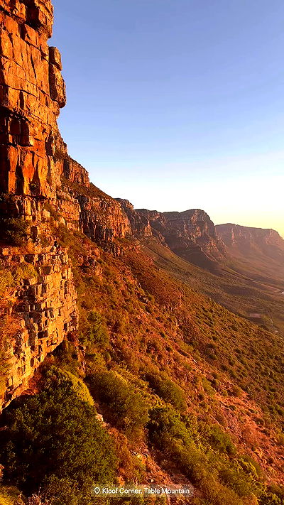 taylor.creeden taylor.creeden archive video