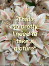 isavramirez Altpins Profile Picture