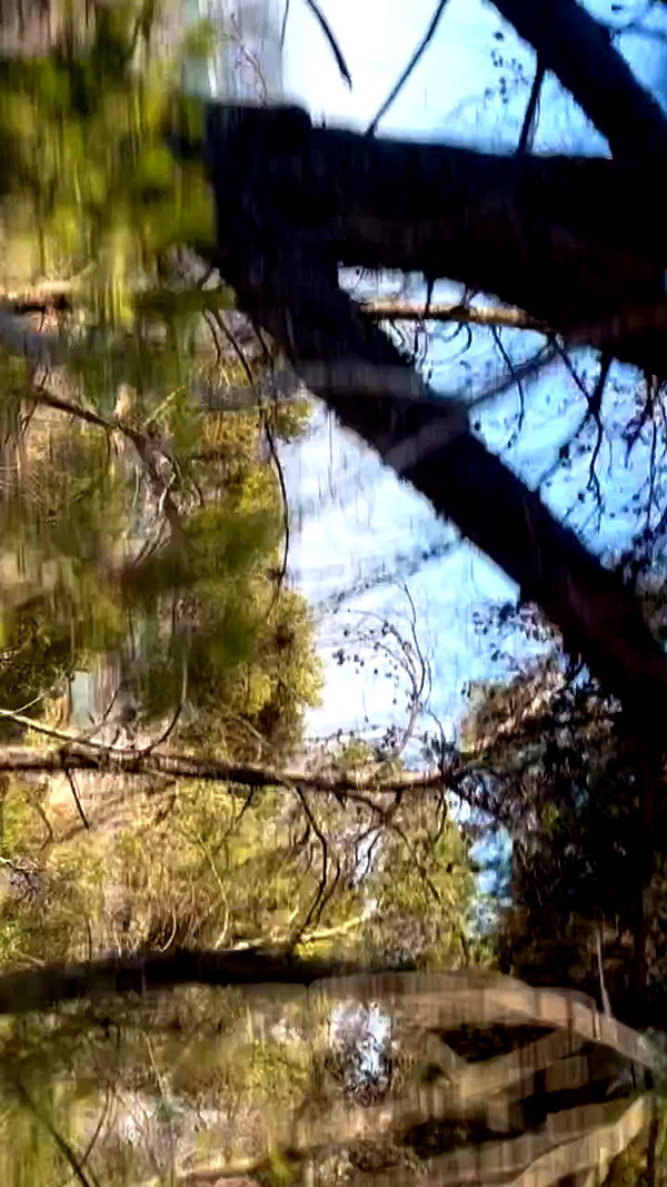 yulia.isakov archive video preview