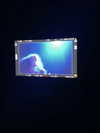 annazak12 Altpins Profile Picture