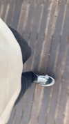 eitan.420 Altpins Profile Picture