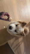 sabrvna Altpins Profile Picture