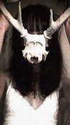 asylome Altpins Profile Picture