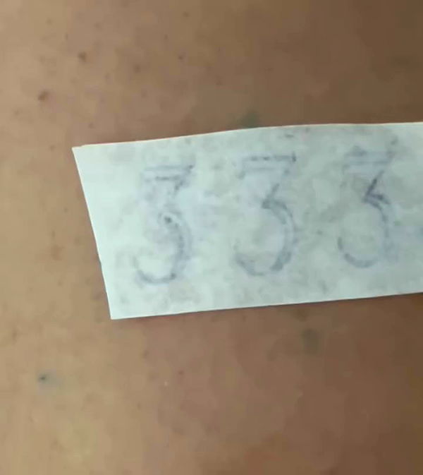 _wizardmidget_ archive video preview