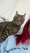 shanidahan7 Altpins Profile Picture
