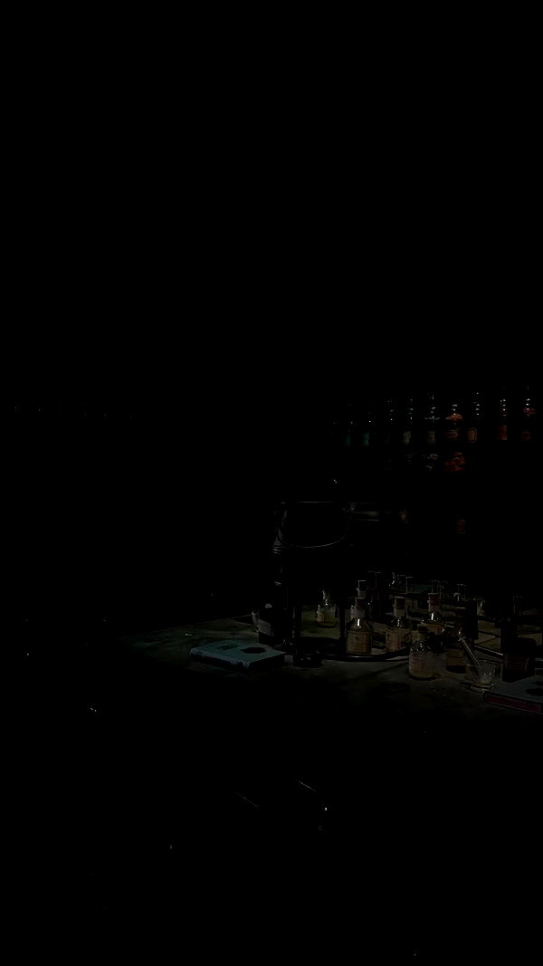 jaroslava_klavir archive video preview