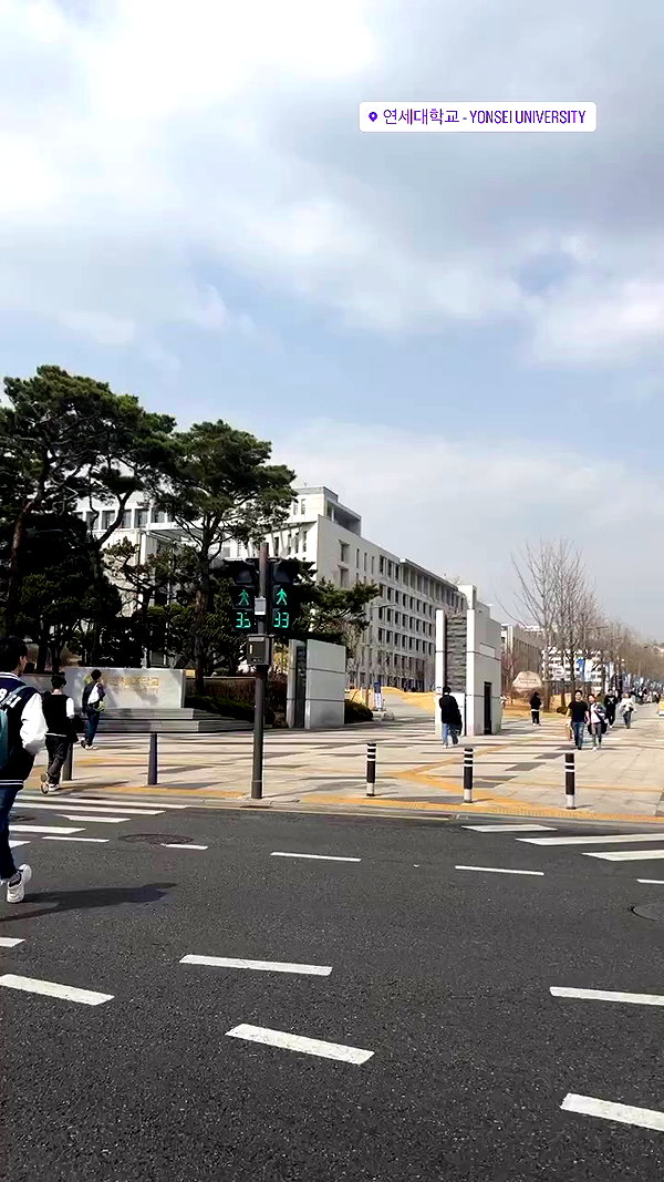 elsgatti archive video preview
