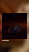 ki.re.ina Altpins Profile Picture