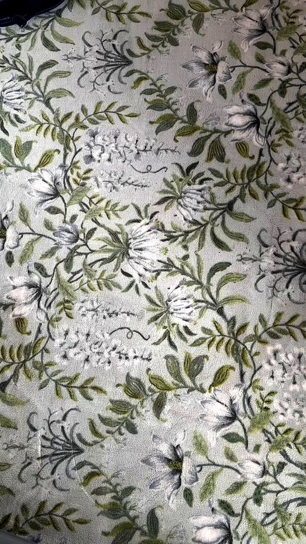 lilrotini archive video preview