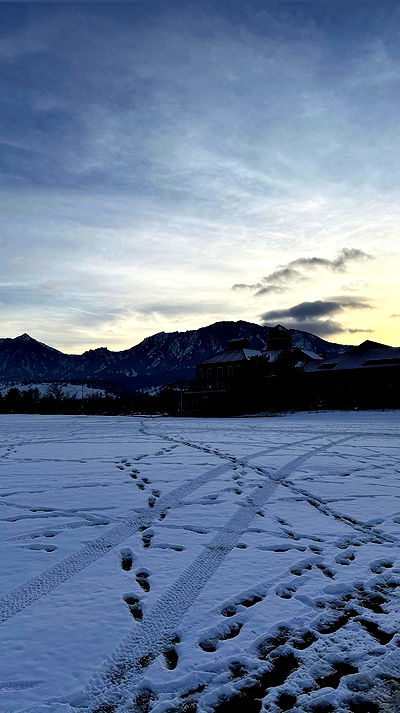 thelizzyporter thelizzyporter archive video