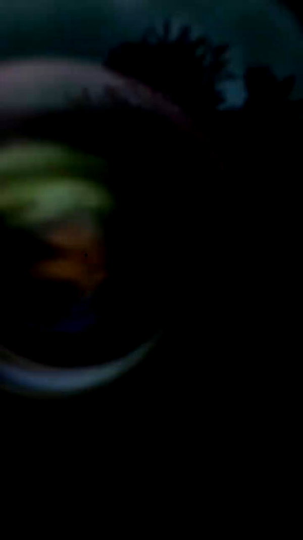 hallucineon archive video preview