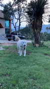 analuvillarreal Altpins Profile Picture