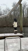 ash.onme Altpins Profile Picture