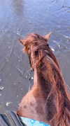 jiw_____n Altpins Profile Picture