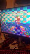 shayli_or Altpins Profile Picture