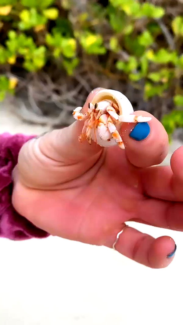 kaylasimmmons archive video preview