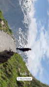 orman.mariee Altpins Profile Picture
