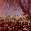 cannonstheband Altpins Profile Picture