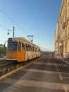 vanessa.rhd Altpins Profile Picture