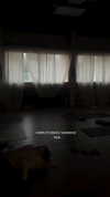shirel.varol Altpins Profile Picture