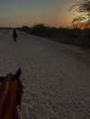 seline_paz Altpins Profile Picture