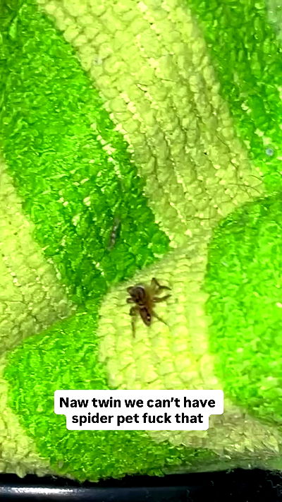 kteaworld kteaworld archive video